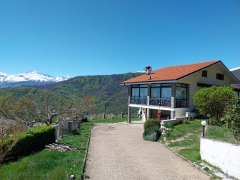 PRAROSTINO - VV05/21