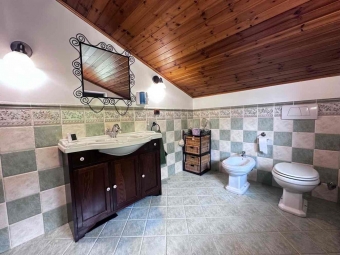 PRAROSTINO - VV05/21