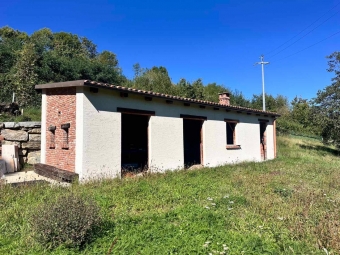 SAN SECONDO DI PINEROLO - VV06